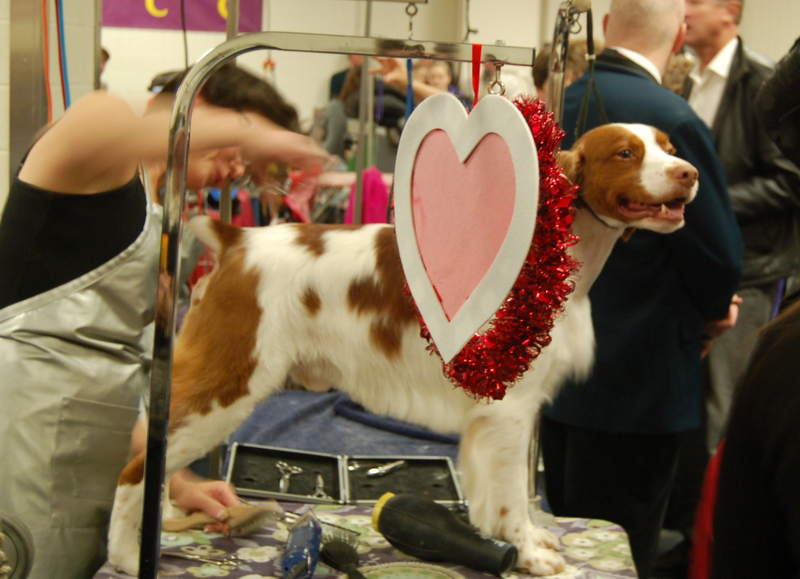 Illustration for article titled Looking For Love On Valentine's Day At Westminster